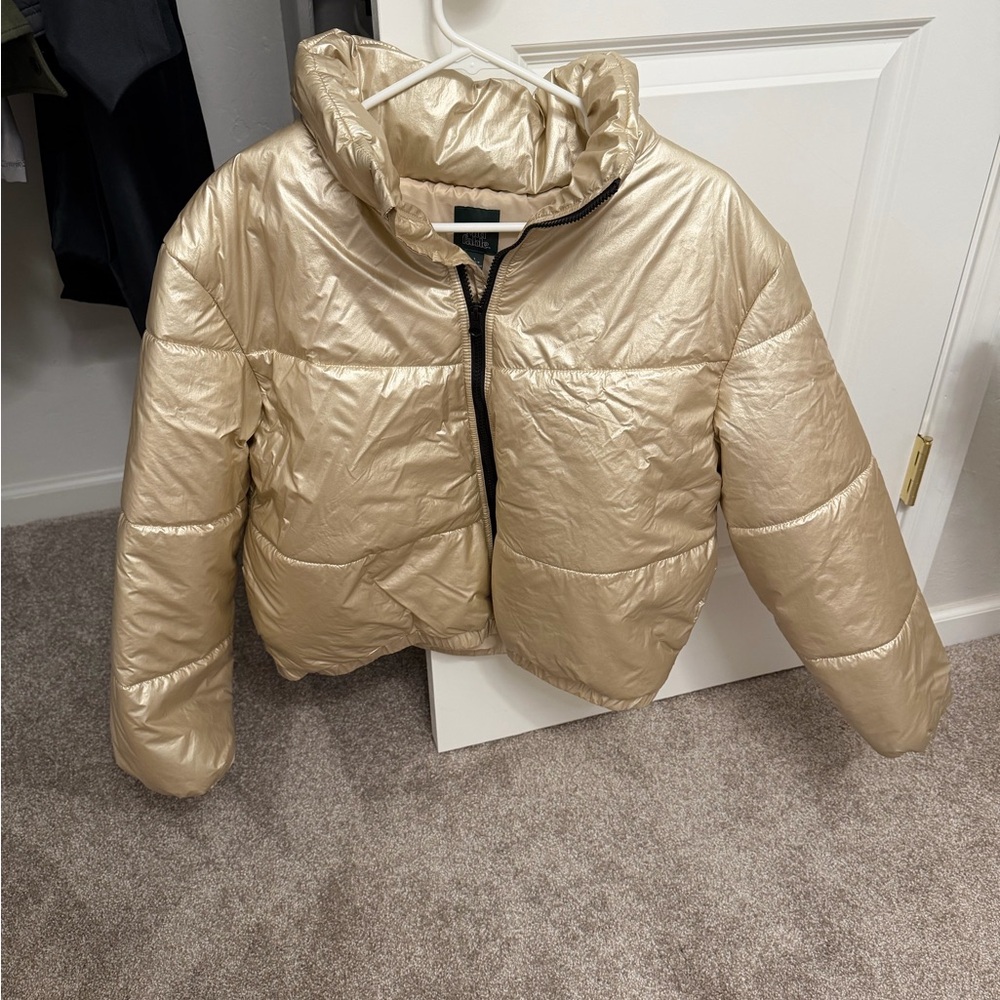Wild Fable Gold Puffer